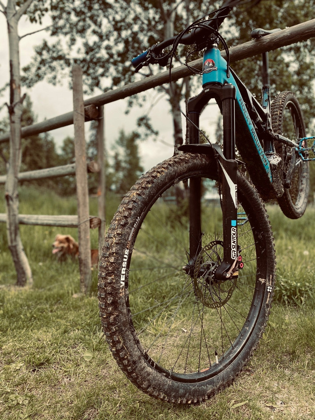 Gravity // All Mountain // 29x2.4" (Black) - Versus Bicycle Tires on ebike