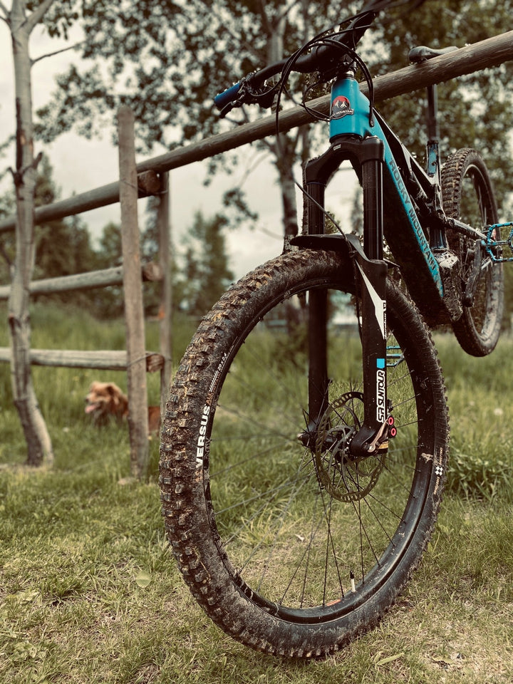 Gravity // All Mountain // 29x2.4" (Black) - Versus Bicycle Tires on ebike