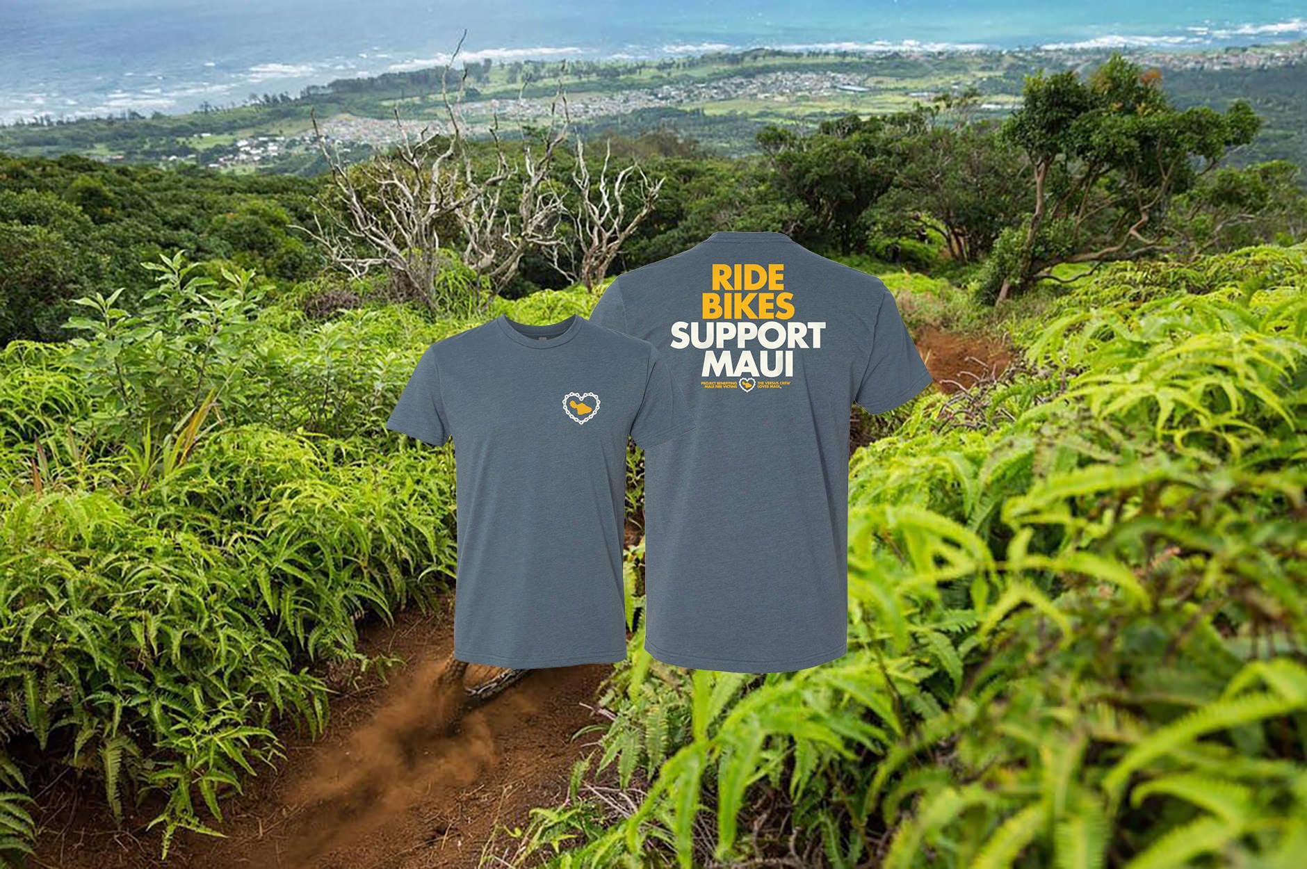 Versus Tires Versus Bicycle Tires